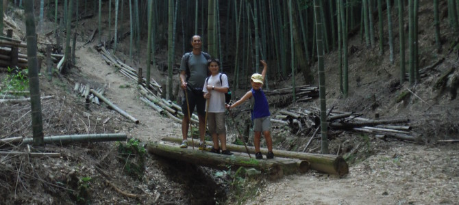 Hike to Mitaki Temple and the Bamboo Forest