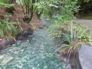 Can you tell how green this hot river flow is?