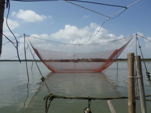 The huge fishing net