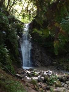 Waterfall along the hike