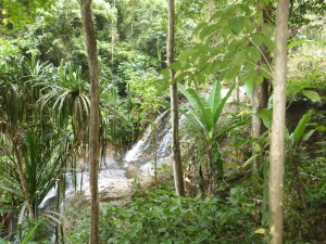 Durian Perangin Waterfall