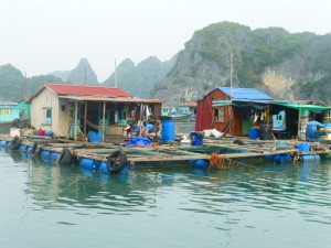 Fishing village homes
