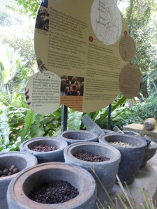 Tropical Spice Garden, Penang Malaysia