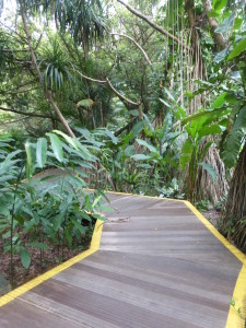 Path through part of the Botanic Gardens