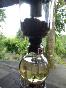 Brewing the Luwak Coffee - special coffee pre-fermented in the digestive track of a Civit Cat 