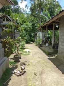 Inside the home compound