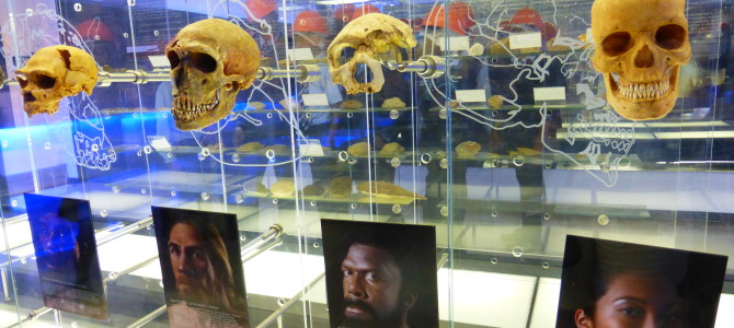 The Cradle Humankind – Maropeng, South Africa