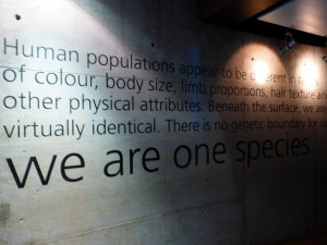 We are all one species, derived from the same ancestry.