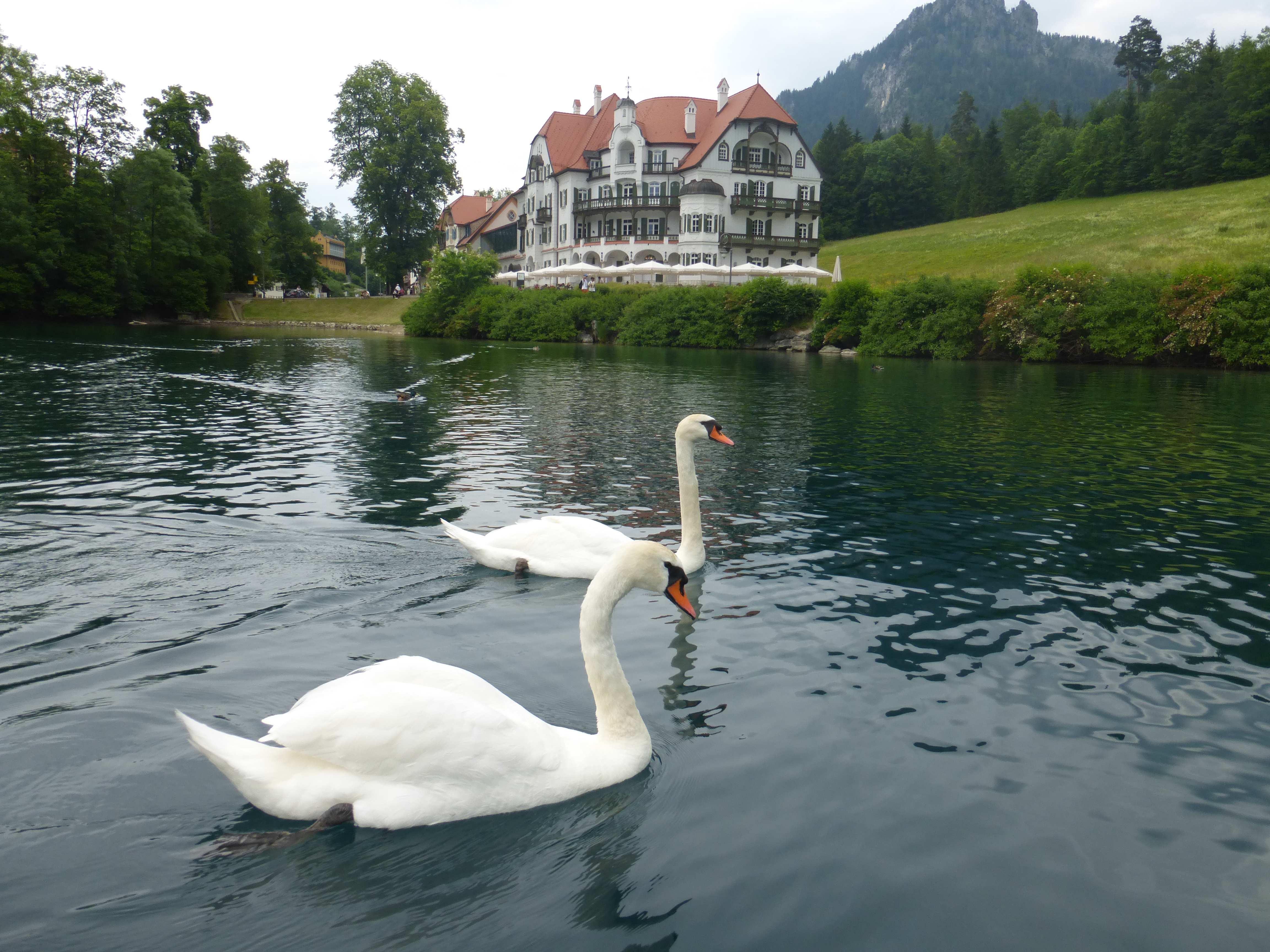 Дом белая лебедь. Нойшванштайн озеро лебеди. Лебединое озеро Бавария. Замок Лебединое озеро. Замок Лебединое озеро Нойшванштайн.