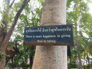 On a tree in Chiang Mai, Thailand